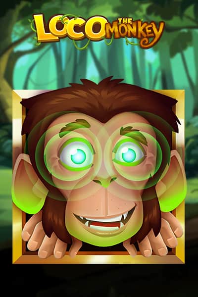 Loco the Monkey